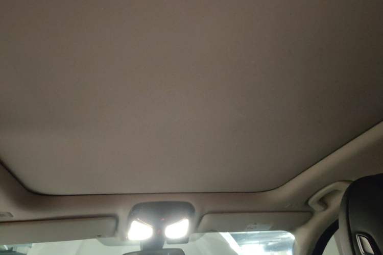 Used BMW 3 Series 2020 320Li M Sport Package Headliner