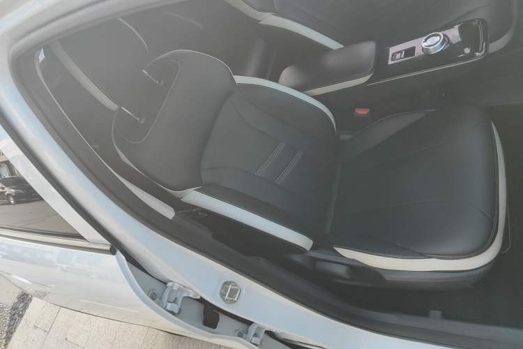 Used Geometry E Firefly 2023 401KM Linglong Tiger 5-Seater
