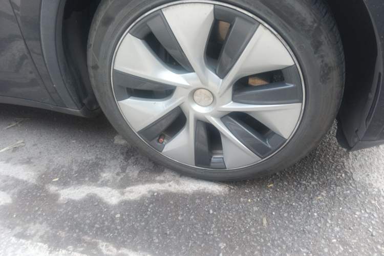 Used Tesla Model Y 2021 Standard Range Rear-Wheel Drive Version