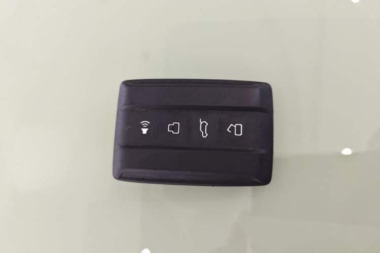 Used Tank 300 2021 City Edition 2.0T My Vision Model