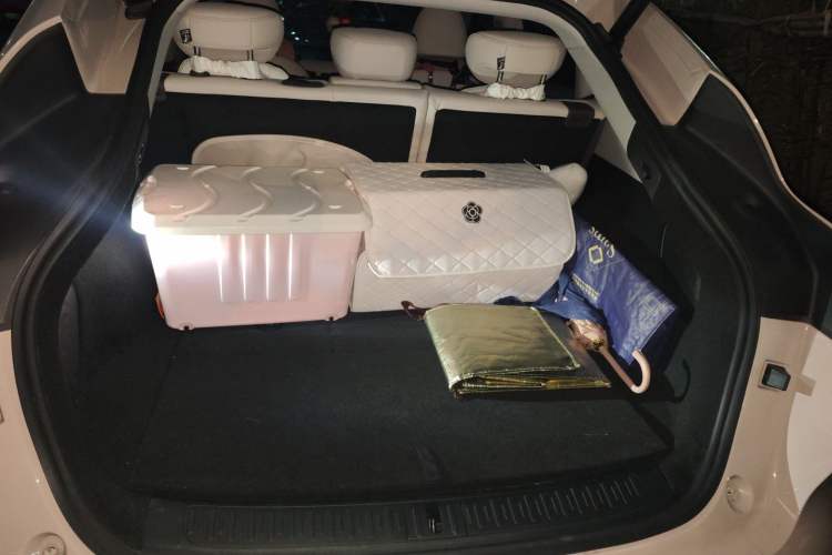 Used IM LS6 2023 Max Extended-Range Version