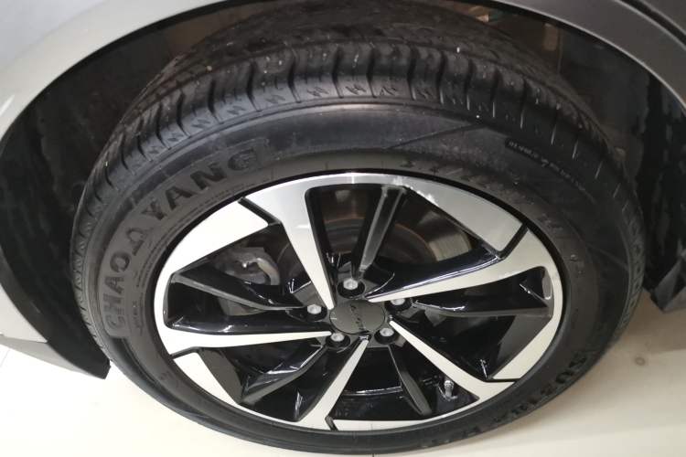 Used AION Y 2023 Plus 510 Smart Edition Exterior 5