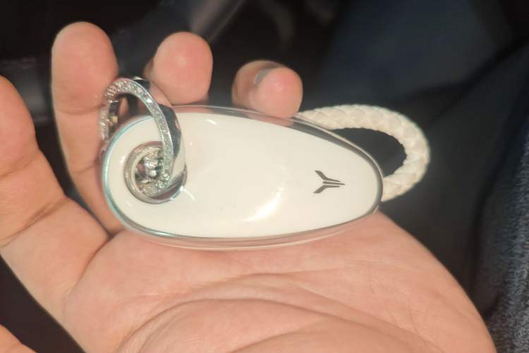 Used VOYAH COURAGE 2025 Model Rear-Drive Qiankun Edition
