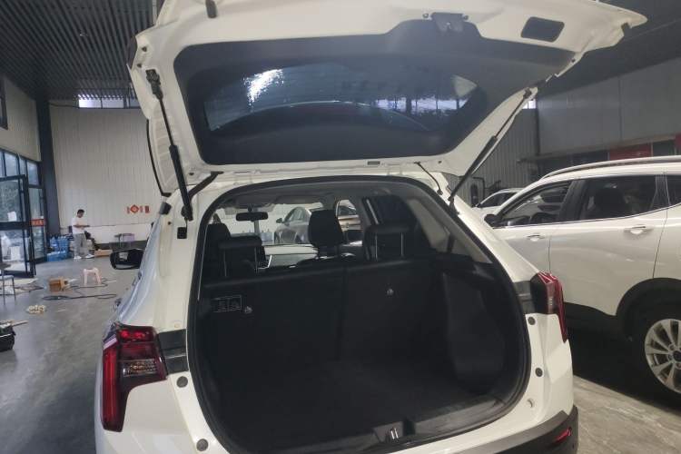 Used Venucia T60 2020 1.6L CVT Smart Drive Version China VI Standard