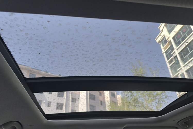 Used Honda Breeze 2025 240TURBO Two-Wheel-Drive Luxury Edition 5 Seats