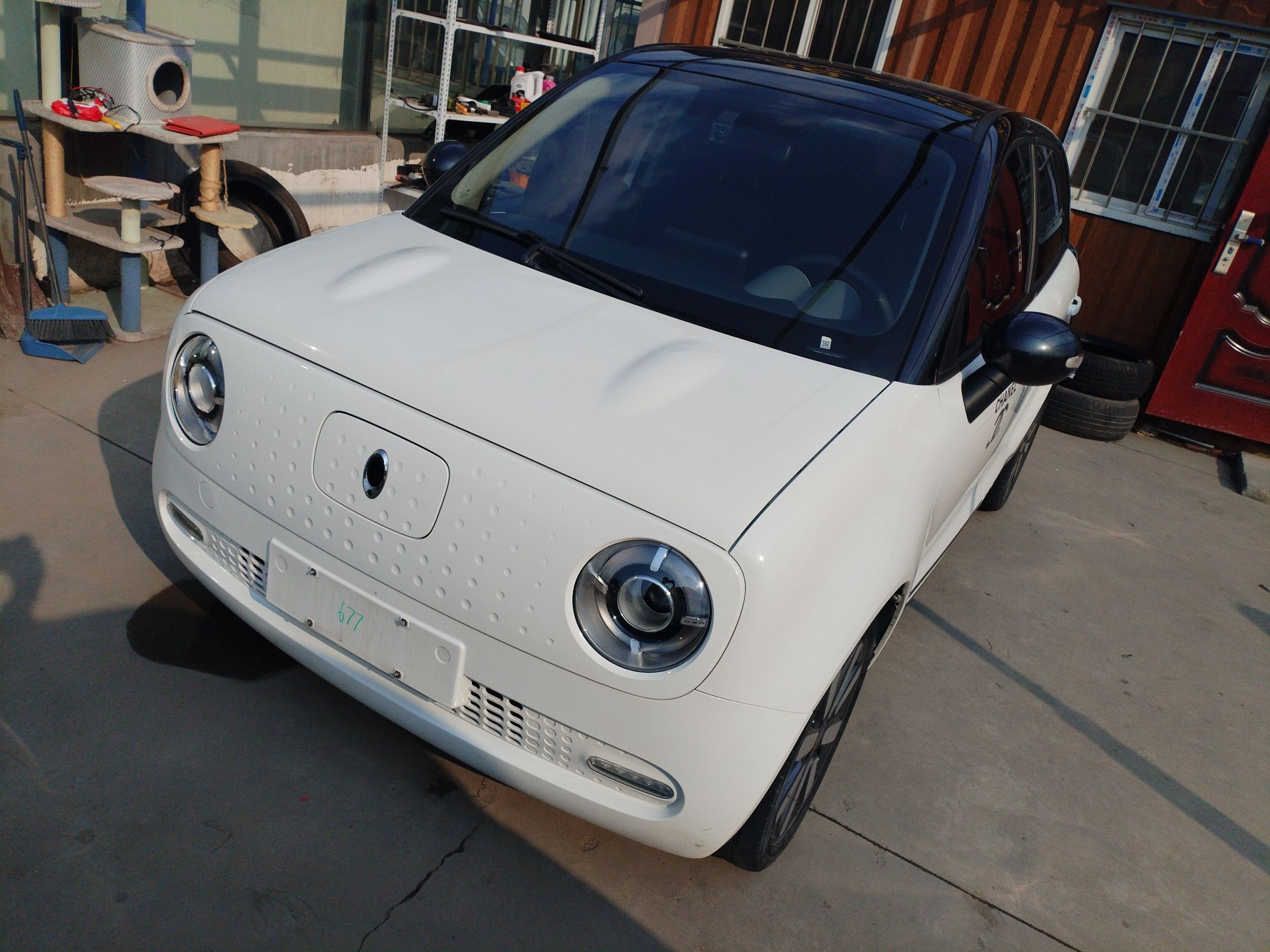 تحت مقدمة السيارة