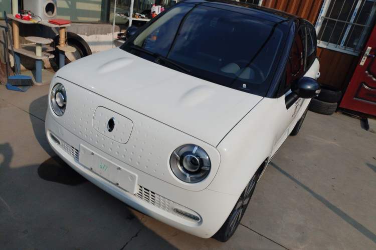 Used ORA Black Cat 2019 351 km Family Edition