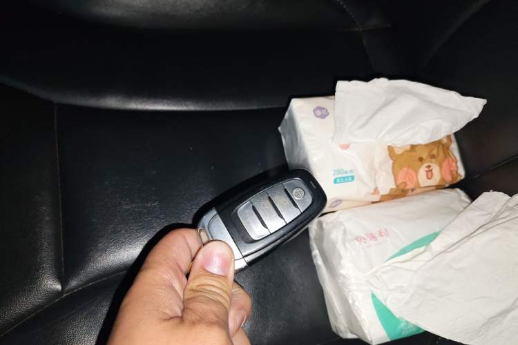 Used Hongqi H5 2020 1.5T DCT Flagship Edition
