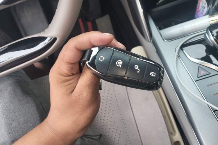 Used BYD Tang New Energy 2025 DM-i 115KM Prestige Model