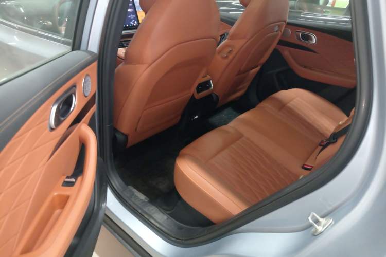 Used NETA L 2024 Extended-Range 220 Flash-Charge Edition