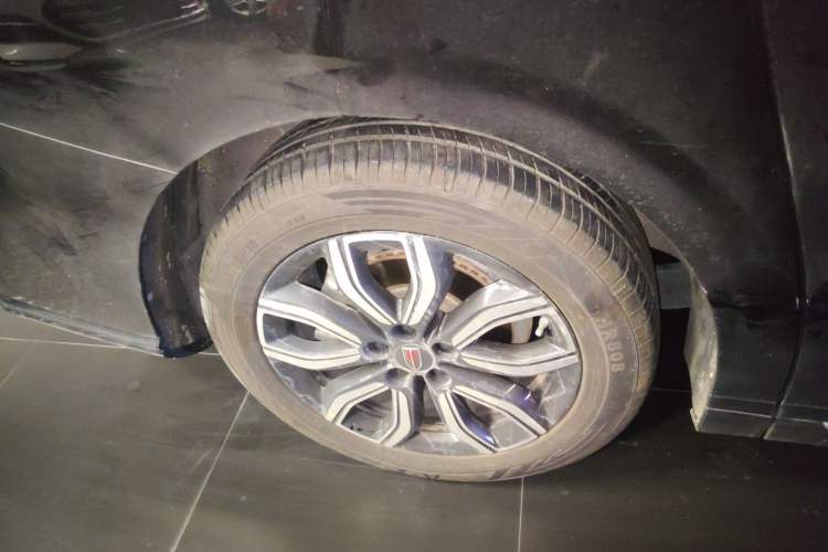 Used Hongqi HQ9 2023 2.0T Smart Connect Flagship Edition