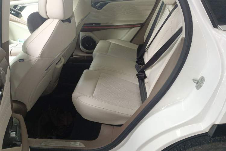 Used VOYAH FREE 2021 Four-Wheel Drive Standard All-Electric Exclusive Luxury Package