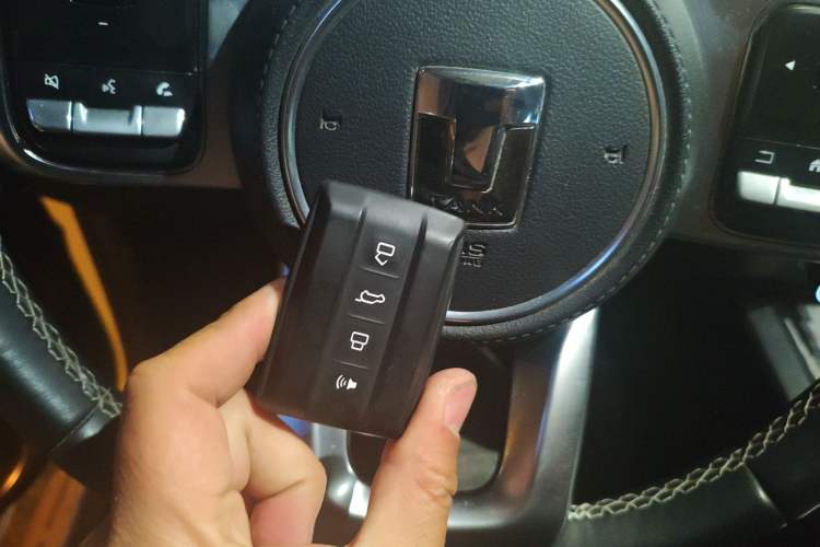 Used Tank 300 2021 2.0T Wind & Forest Iron Rider
