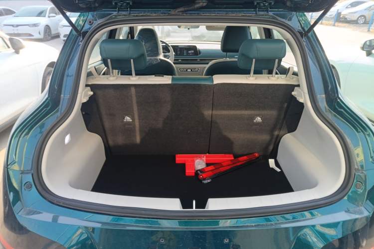 Used ORA Good Cat 2024 401 km Luxury Version