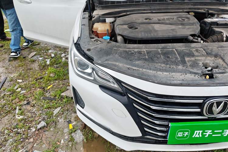 Used CHANGAN Ruicheng CC 2020 1.5T Manual Xuanrui Model Right Front Headlight