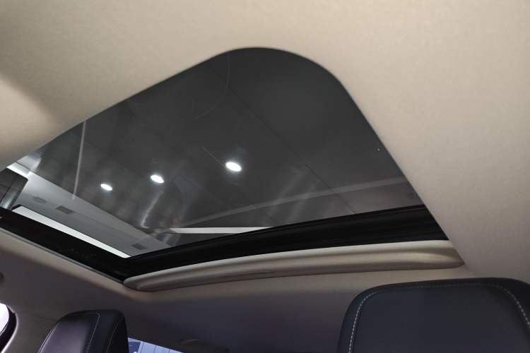 Used Tank 300 2024 2.0T Conqueror