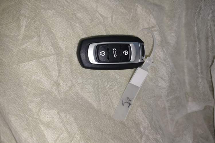 Used Geely Galaxy Panda 2024 Panda Mini 200km Endurance Bear
