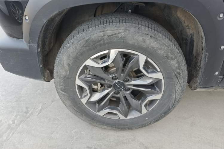 Used Haval DARGO 2024 2.0T DCT Chinese Rural Dog Edition