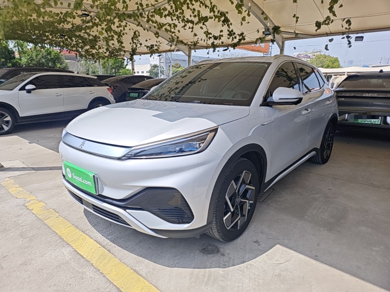 Parte inferior delantera