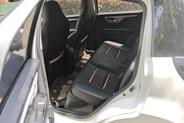 Used SOL E10X 2022 Flower Fairy Design Four-Leaf Clover