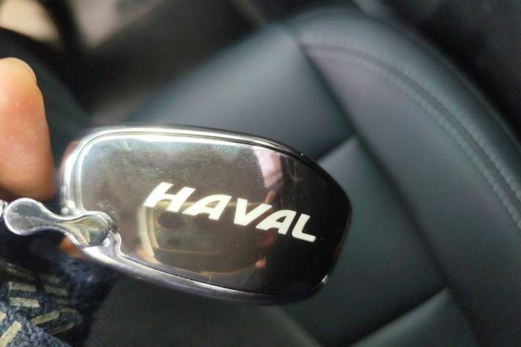 Used Haval H Dog 2023 2.0T Two-Wheel Drive Chaoye Version Plus
