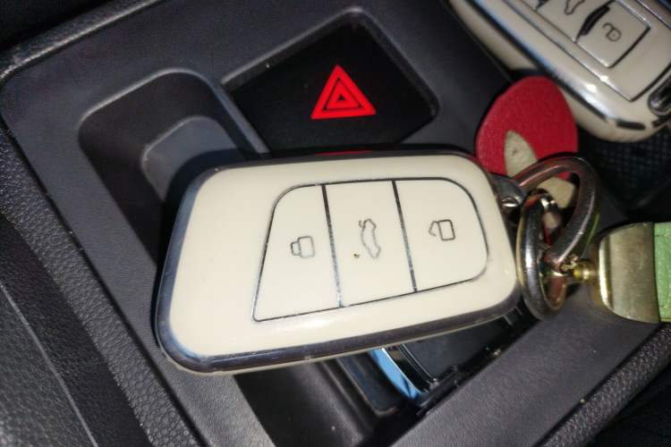 Used Chery Little Ant 2023 251km True Love Edition Lithium Iron Phosphate
