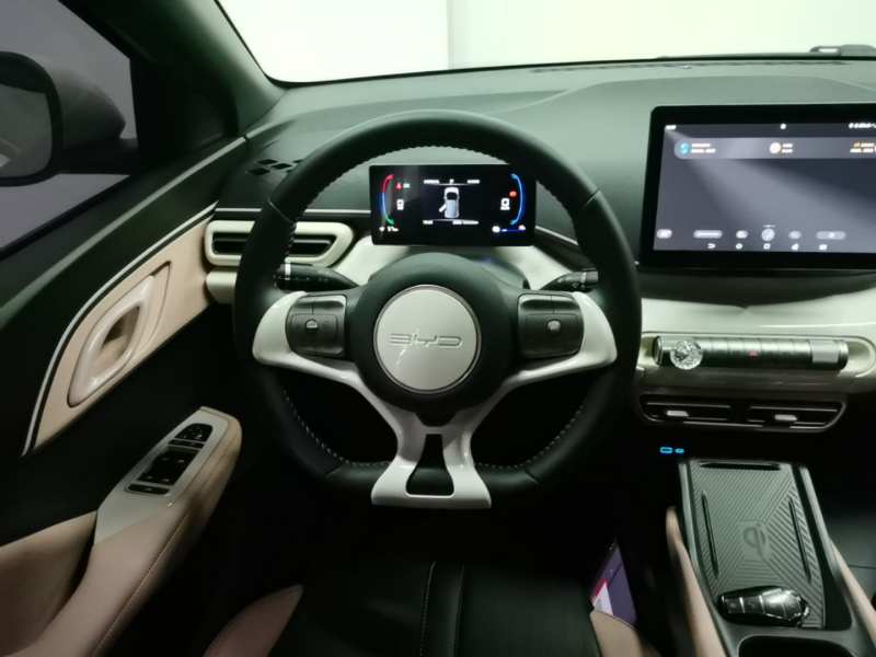 Used BYD Seagull 2025 305 km Free Version — 10