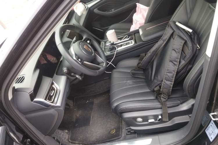 Used Hongqi H5 2024 2.0T Automatic Smart Connect Flagship Edition
