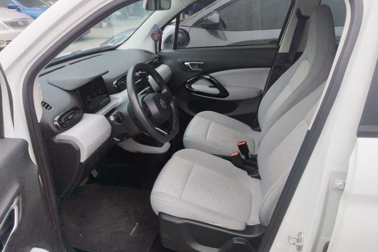 Used Leapmotor T03 2022 Agate Edition Left Front Seat