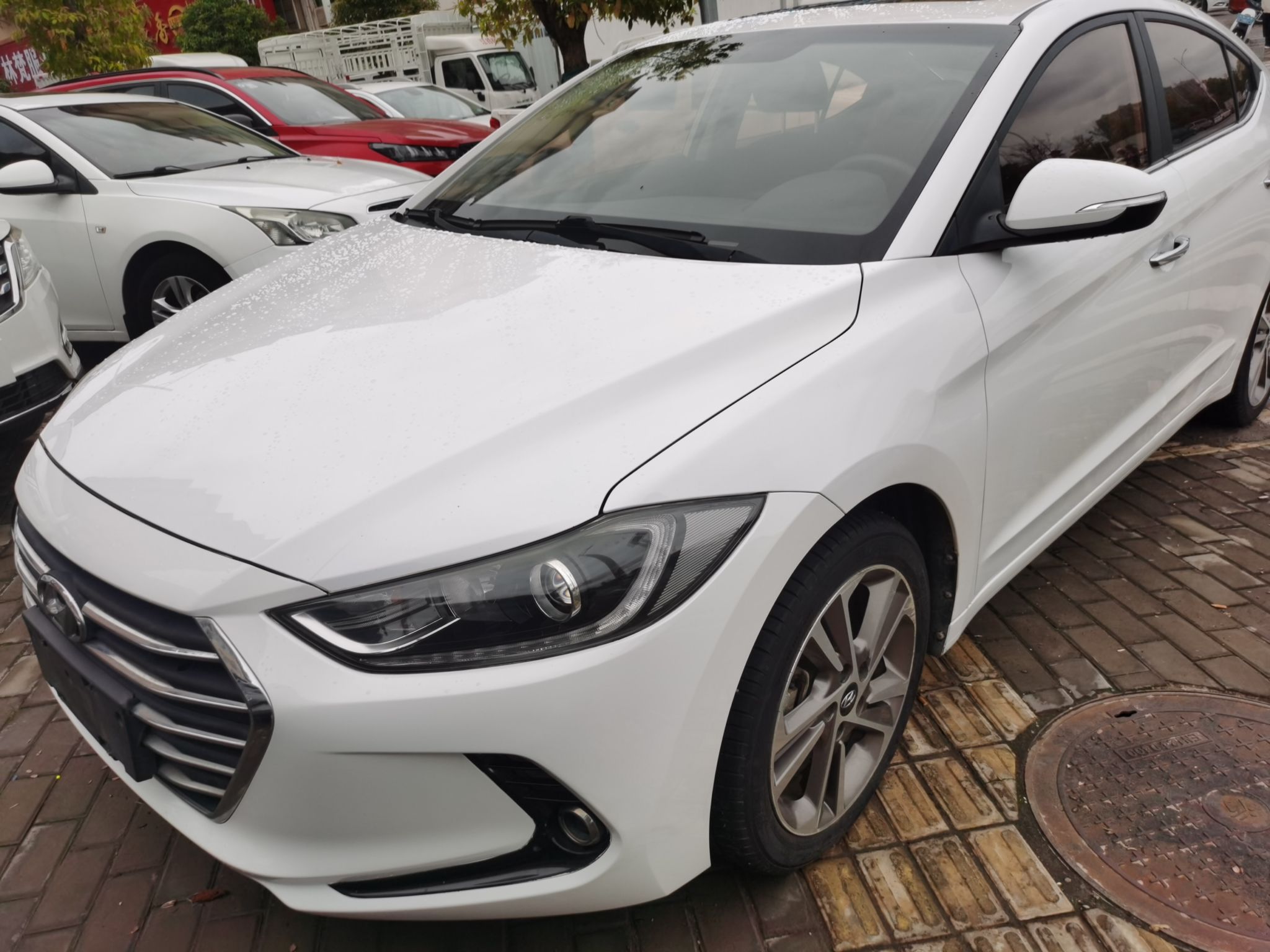 Parte inferior delantera