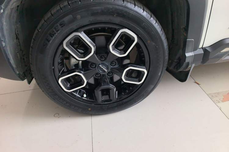 Used Haval X DOG 2022 1.5T DCT Two-Wheel Drive Trendy Edition Exterior 4