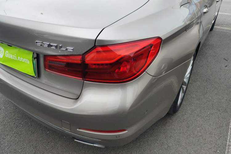 Used BMW 5 Series New Energy 2020 530Le Luxury Package
