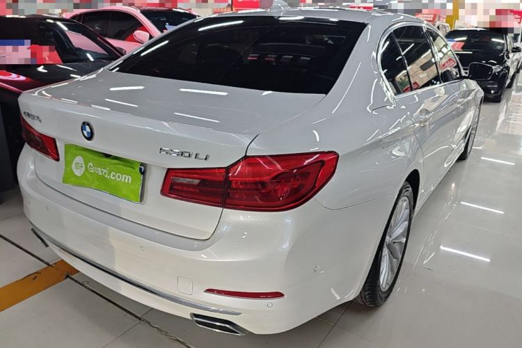Used BMW 5 Series 2020 530Li Leading Edition Luxury Package