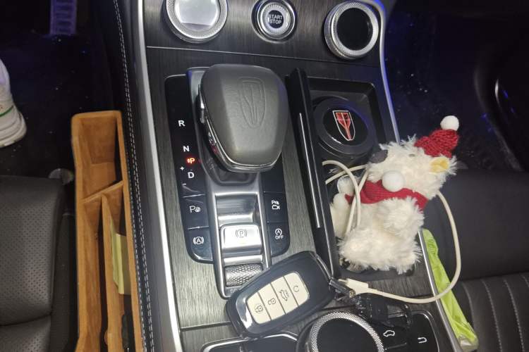 Used Hongqi H9 2022 3.0T Smart Connect Flagship Four-Seater Version
