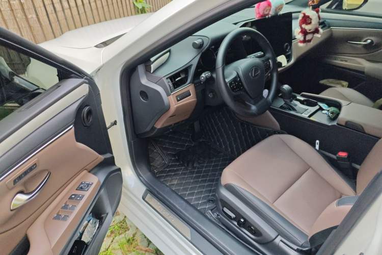 Used Lexus ES 2025 200 Premium Edition