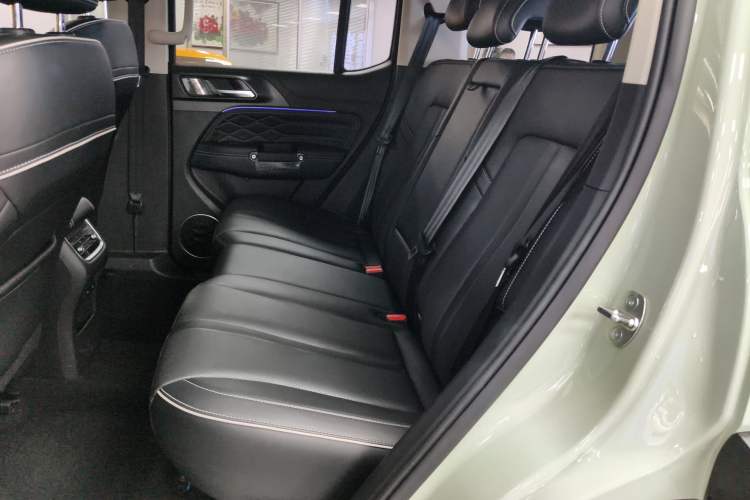 Used Tank 300 2021 2.0T Wind & Forest Iron Rider
