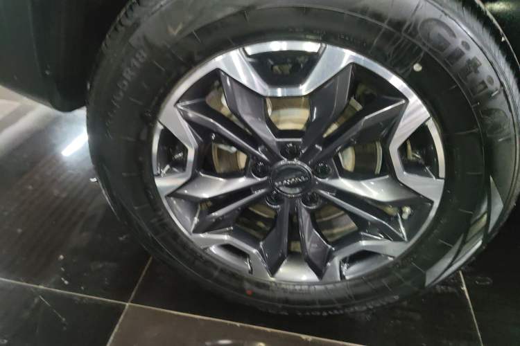 Used Haval DARGO 2024 2.0T DCT Chinese Rural Dog Edition
