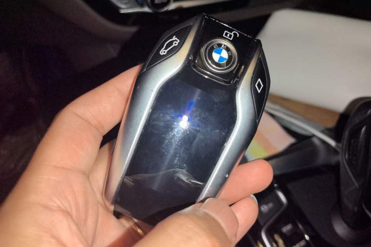 Used BMW 5 Series New Energy 2019 530Le Luxury Package