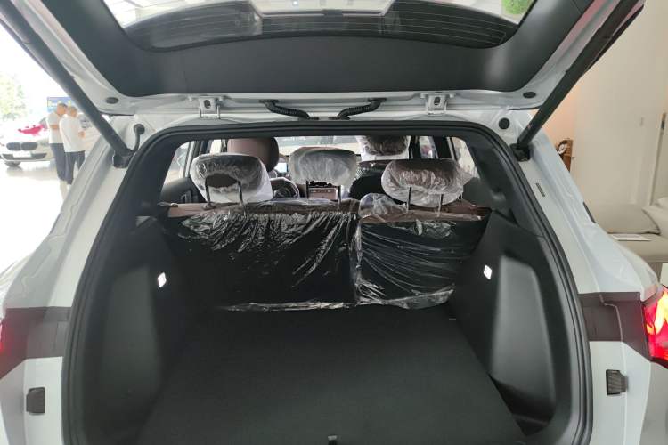 Used Wuling Xingguang S 2024 510 km Flagship Version