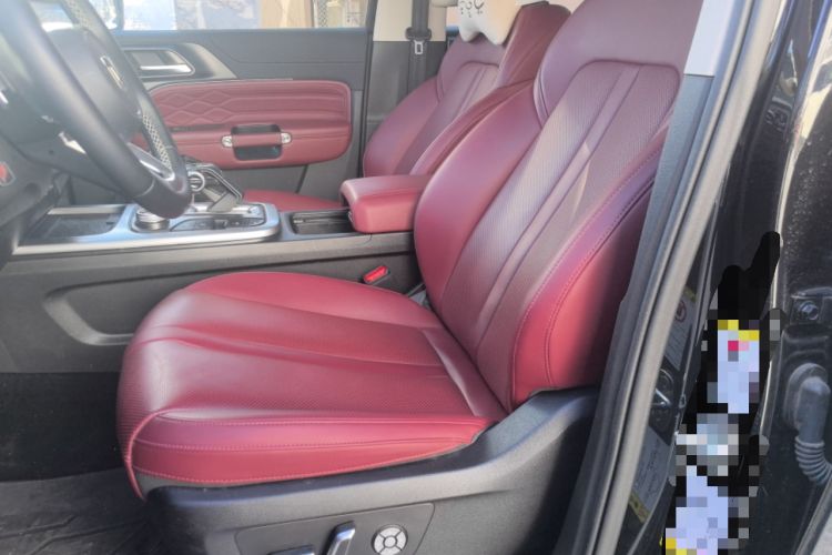 Used Tank 300 2024 2.0T Conqueror