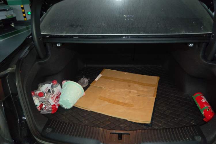 Used Hongqi H5 2024 2.0T Automatic Smart Connect Flagship Edition