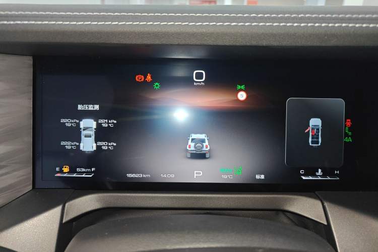 Used Tank 300 2024 2.0T Crosser
