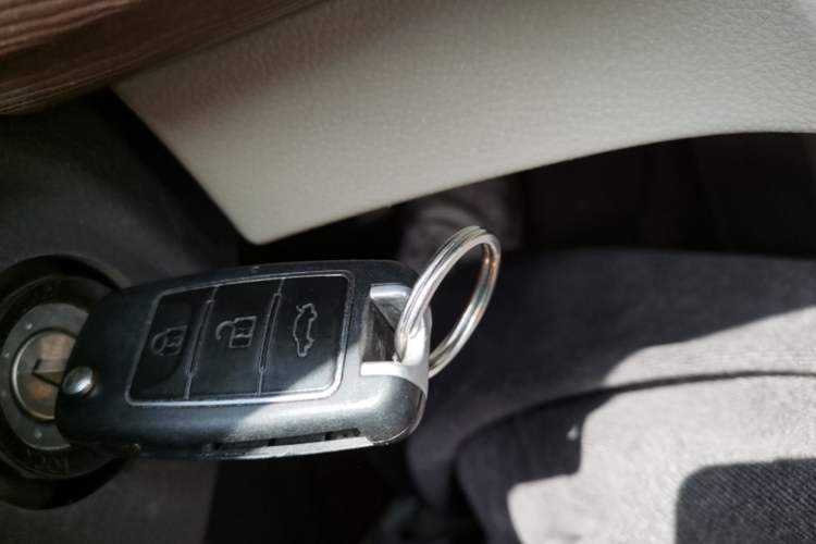 Used FORTHING Lingzhi 
