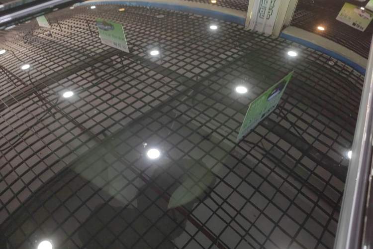 Used VOYAH FREE 2025 Model FREE+ Four-Wheel-Drive Qiankun Edition