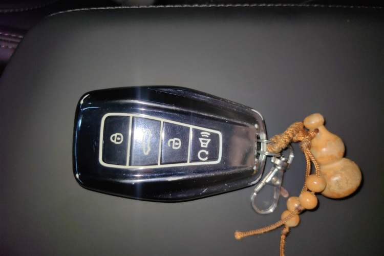 Used Geely Auto Monjaro L 2024 2.0TD High-Power Automatic Two-Wheel Drive Skyline Edition
