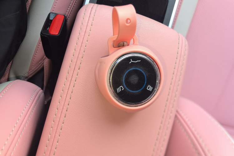 Used NETA V 2021 Witch Edition