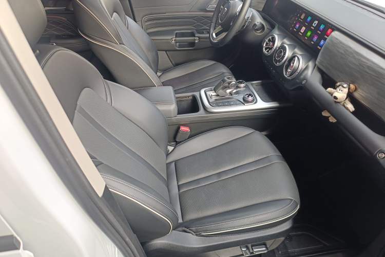 Used Tank 300 2024 2.0T Conqueror