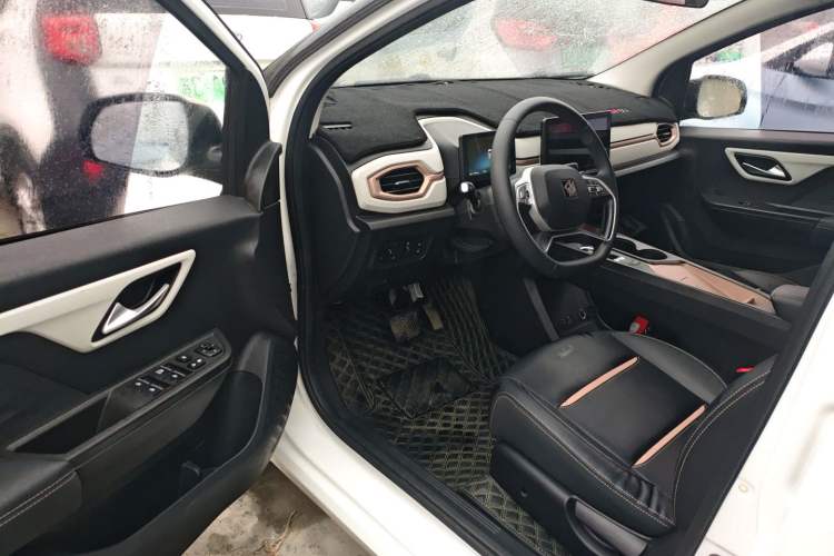 Used SOL E10X 2022 Flower Fairy Design Four-Leaf Clover Interior 3