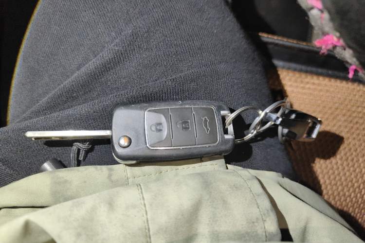 Used FORTHING Lingzhi 2020 M5L 1.6L Base Model 9 Seats Vehicle Key