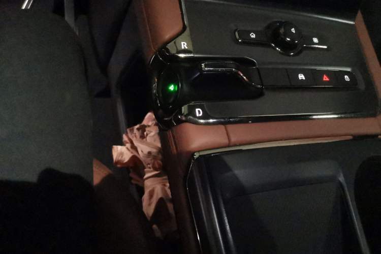 Used Nio EC6 2020 475 km Performance Version Gear Lever